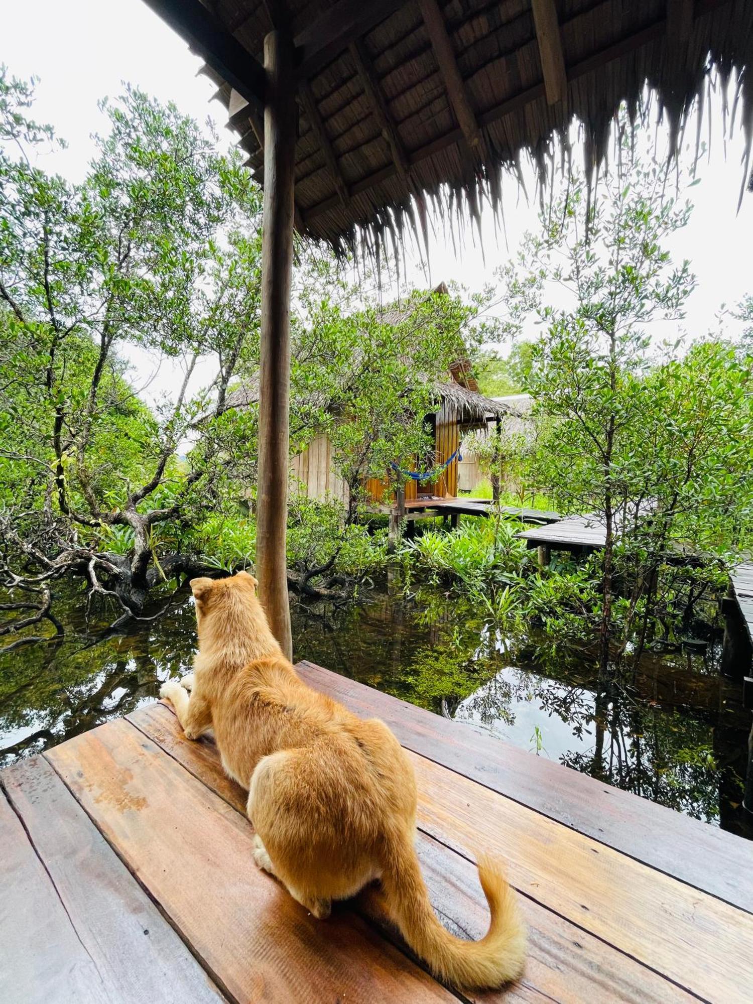 Lily'S Riverhouse Prek Svay Village 외부 사진