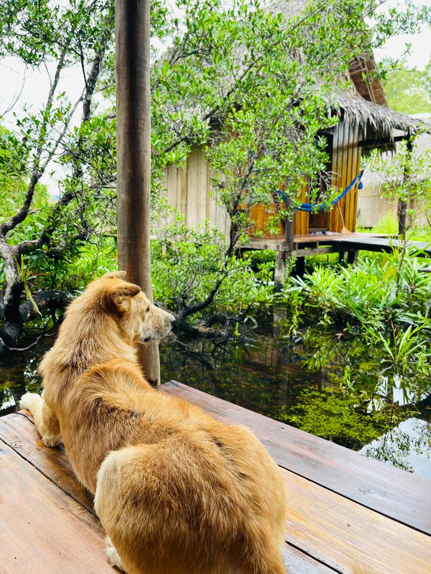 Lily'S Riverhouse Prek Svay Village 외부 사진